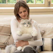 Load image into Gallery viewer, Silver Maine Coon Backpack-Majestic and Purrfect Companion