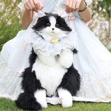 Load image into Gallery viewer, Ragdoll Cat Backpack – Cozy Companion for Travel &amp; School