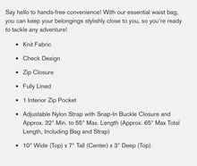 Load image into Gallery viewer, Sightseeing Pink Check Waist Cross Body Bag