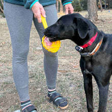 Load image into Gallery viewer, eStick Hand-Held Dog Enrichment Toy - Interactive Lick Stick | USA Made