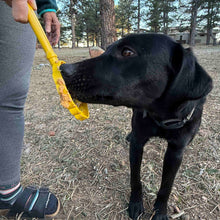 Load image into Gallery viewer, eStick Hand-Held Dog Enrichment Toy - Interactive Lick Stick | USA Made