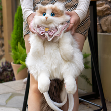 Load image into Gallery viewer, Ragdoll Cat Backpack – Cozy Companion for Travel &amp; School