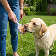 Load image into Gallery viewer, eStick Hand-Held Dog Enrichment Toy - Interactive Lick Stick | USA Made