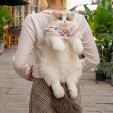 Load image into Gallery viewer, Ragdoll Cat Backpack – Cozy Companion for Travel &amp; School