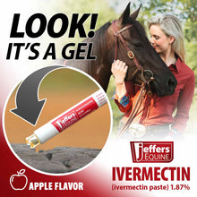 Load image into Gallery viewer, Jeffers Ivermectin Horse Dewormer Gel, Apple Flavored